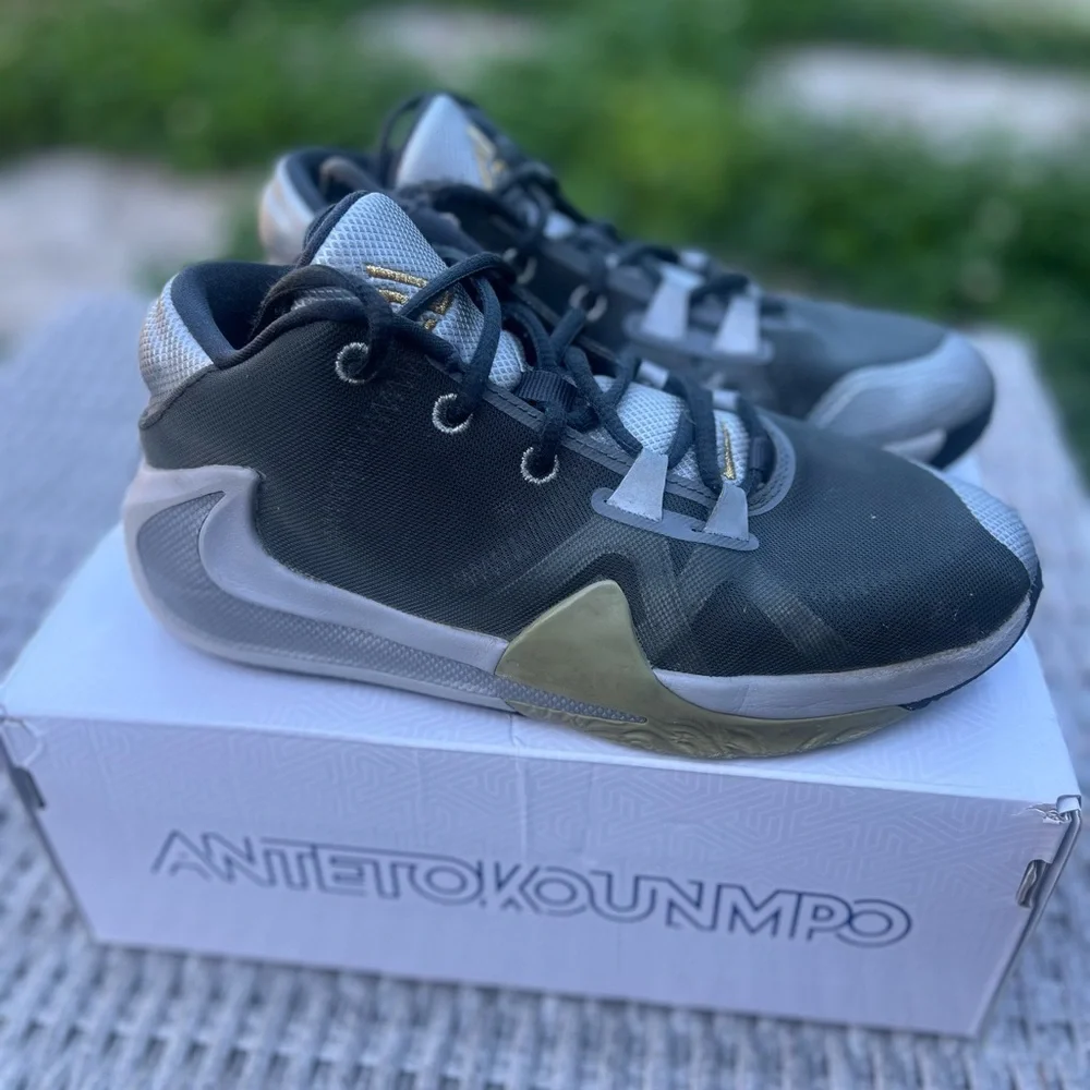 Giannis Antetokounmpo Nike Freak 1 Black/Silver Size 6